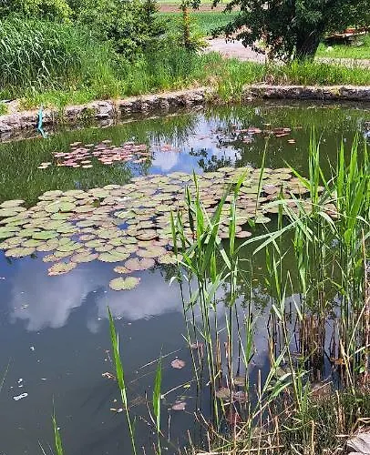 U Rybníka Apartmán Schloss Bosig